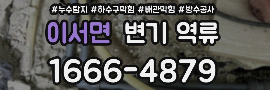 이서면 변기 역류