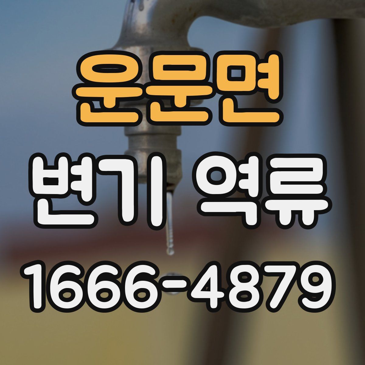 운문면 변기 역류