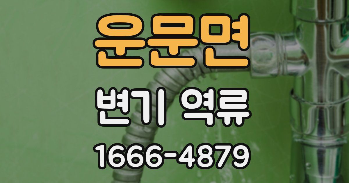 운문면 변기 역류
