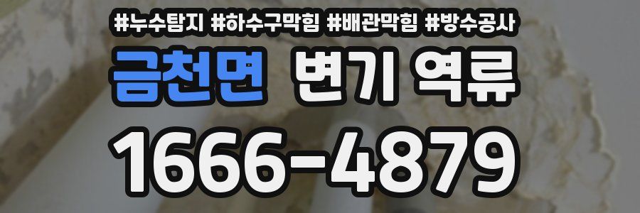 금천면 변기 역류