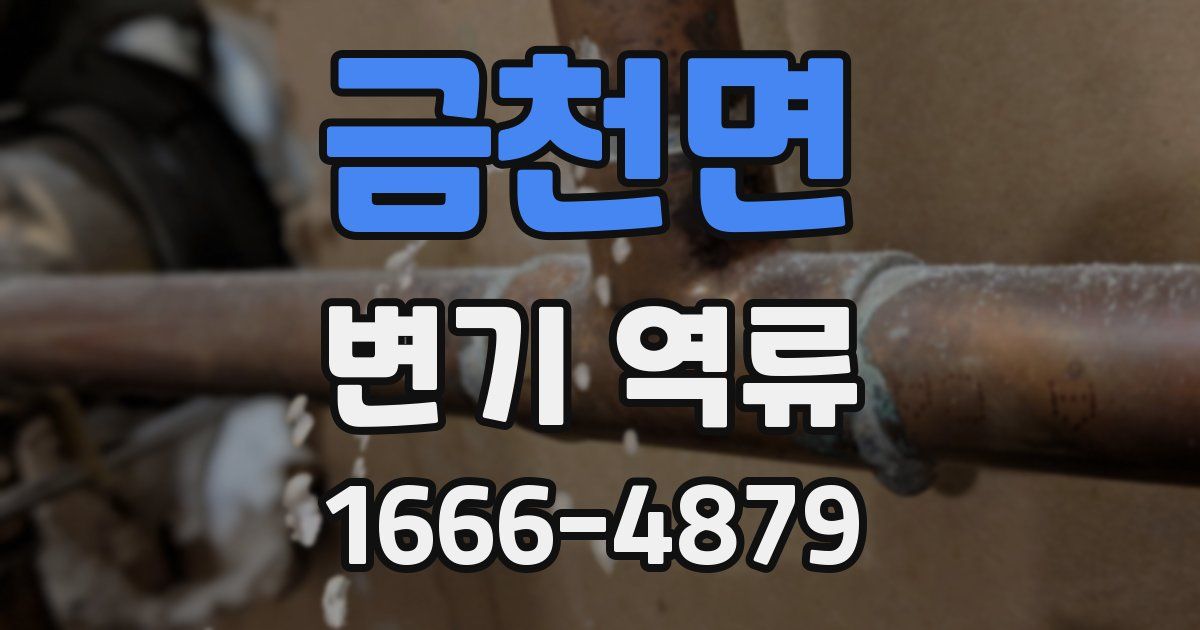 금천면 변기 역류