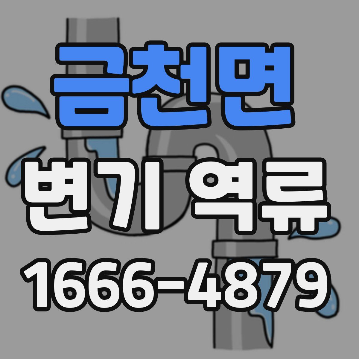 금천면 변기 역류