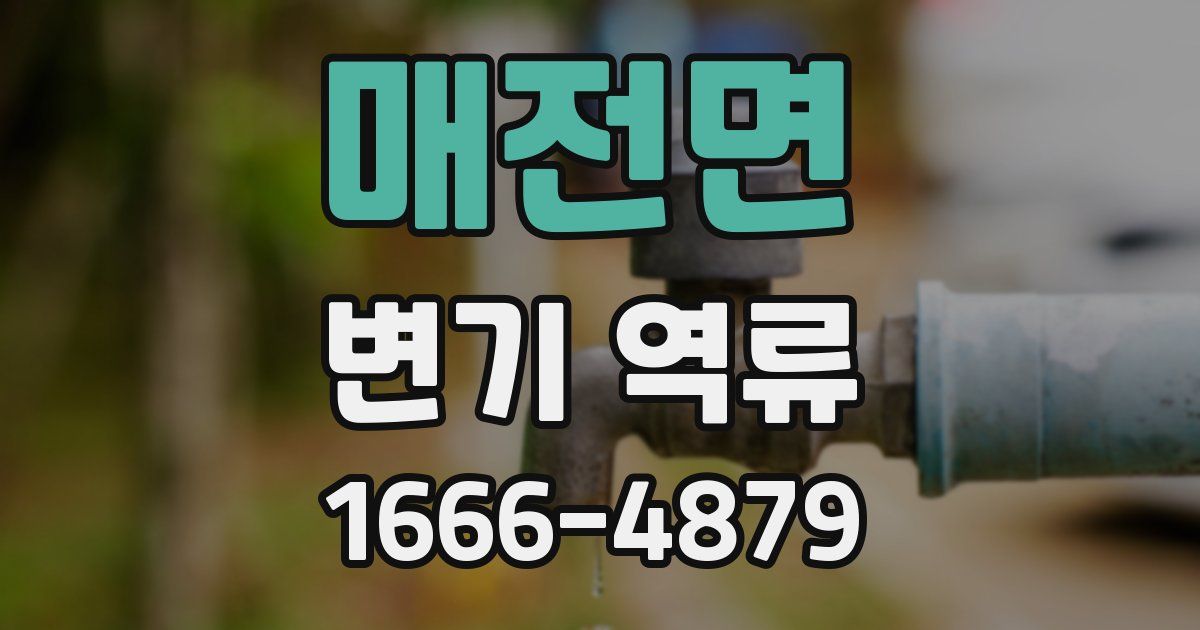 매전면 변기 역류