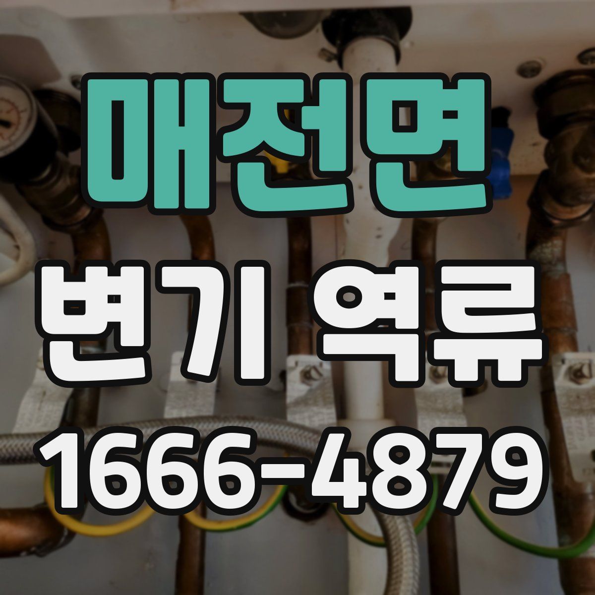 매전면 변기 역류