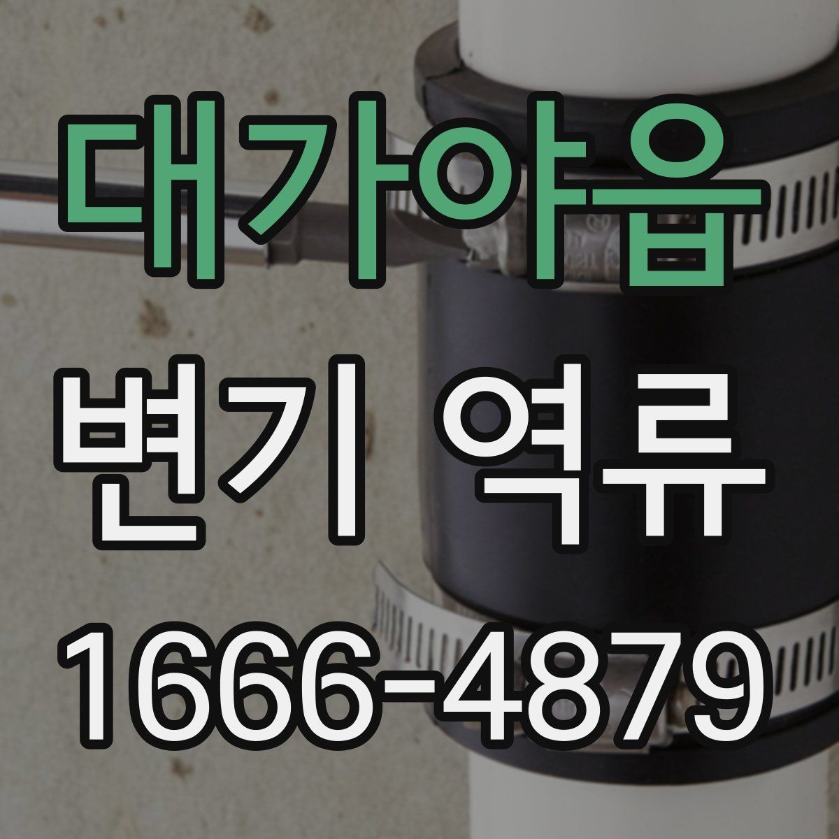 대가야읍 변기 역류