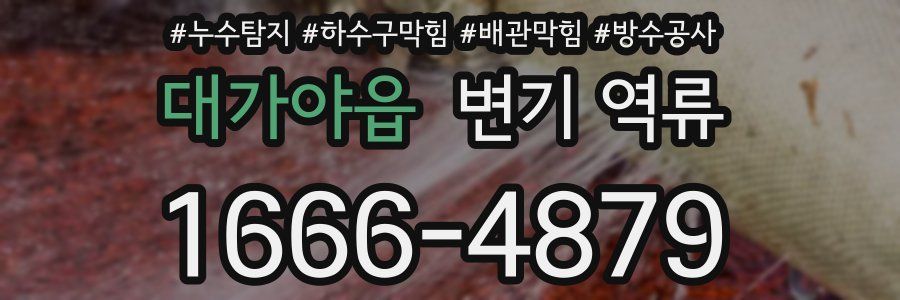대가야읍 변기 역류