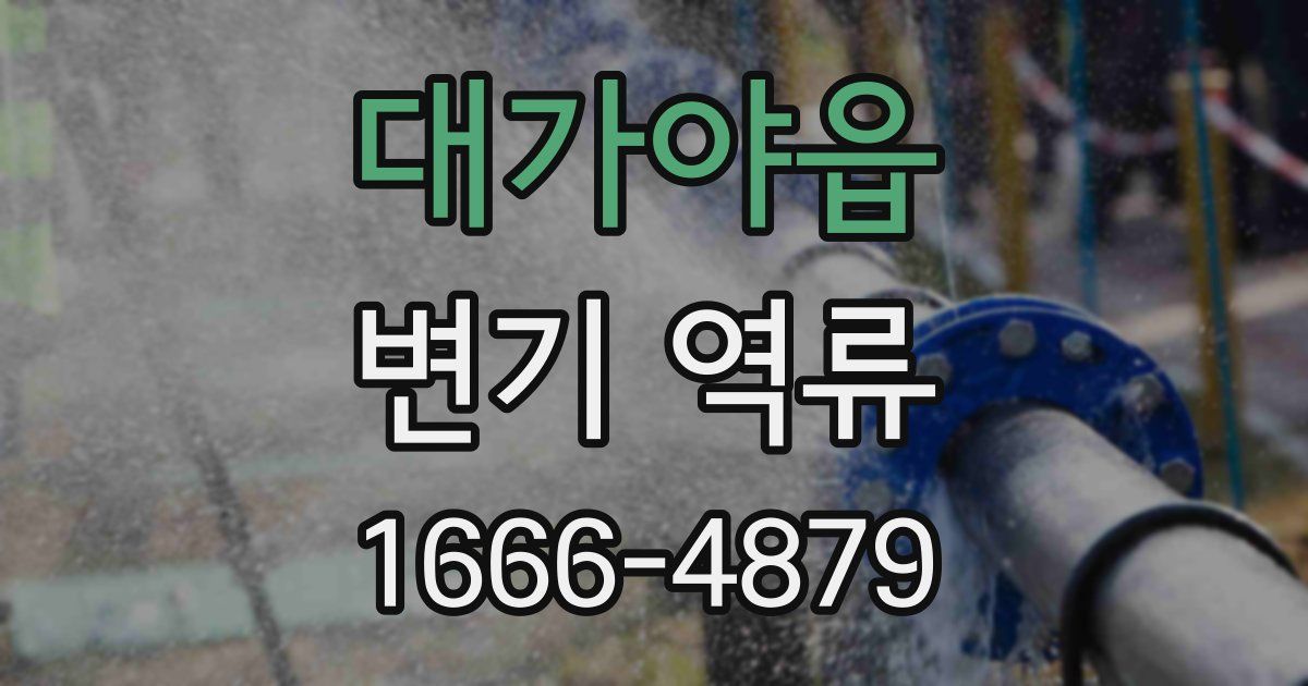 대가야읍 변기 역류