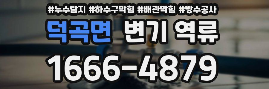 덕곡면 변기 역류