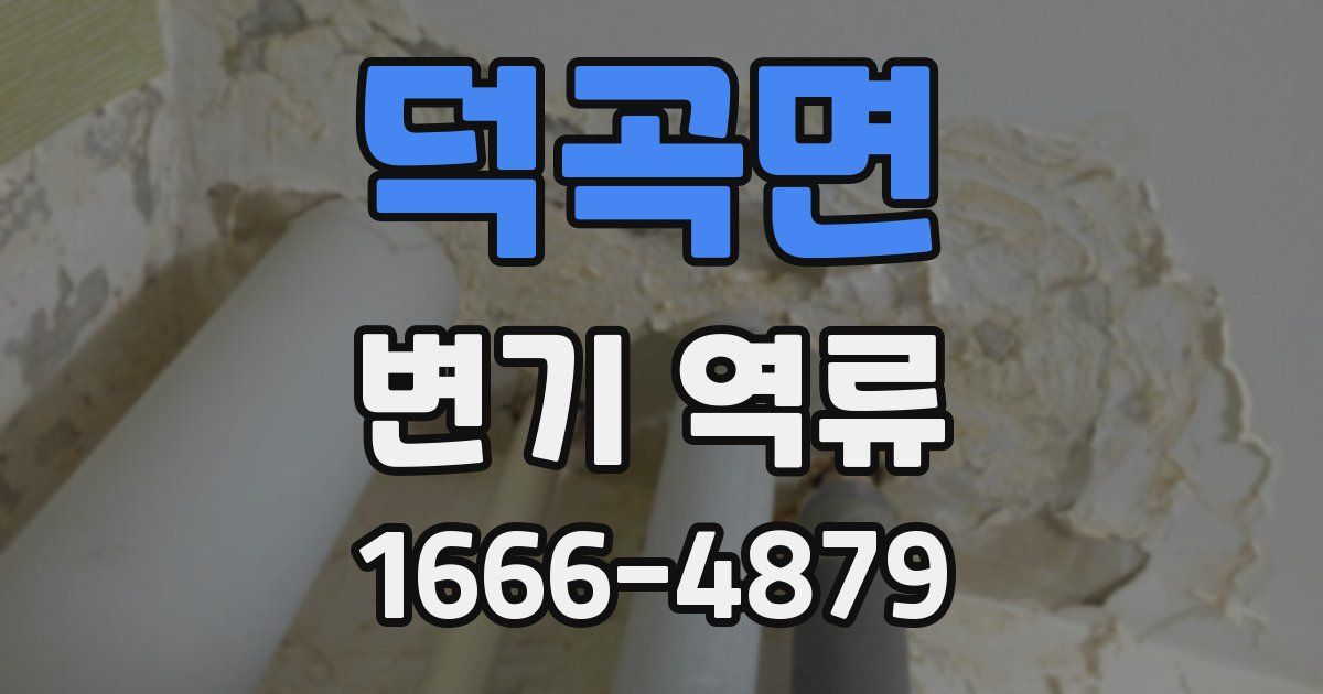 덕곡면 변기 역류