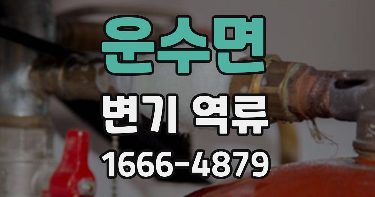 운수면 변기 역류