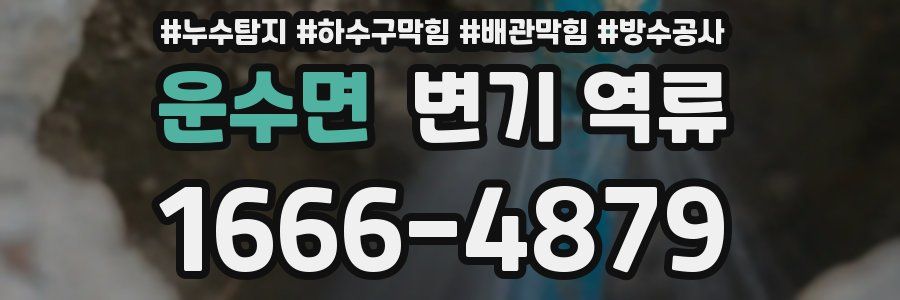 운수면 변기 역류