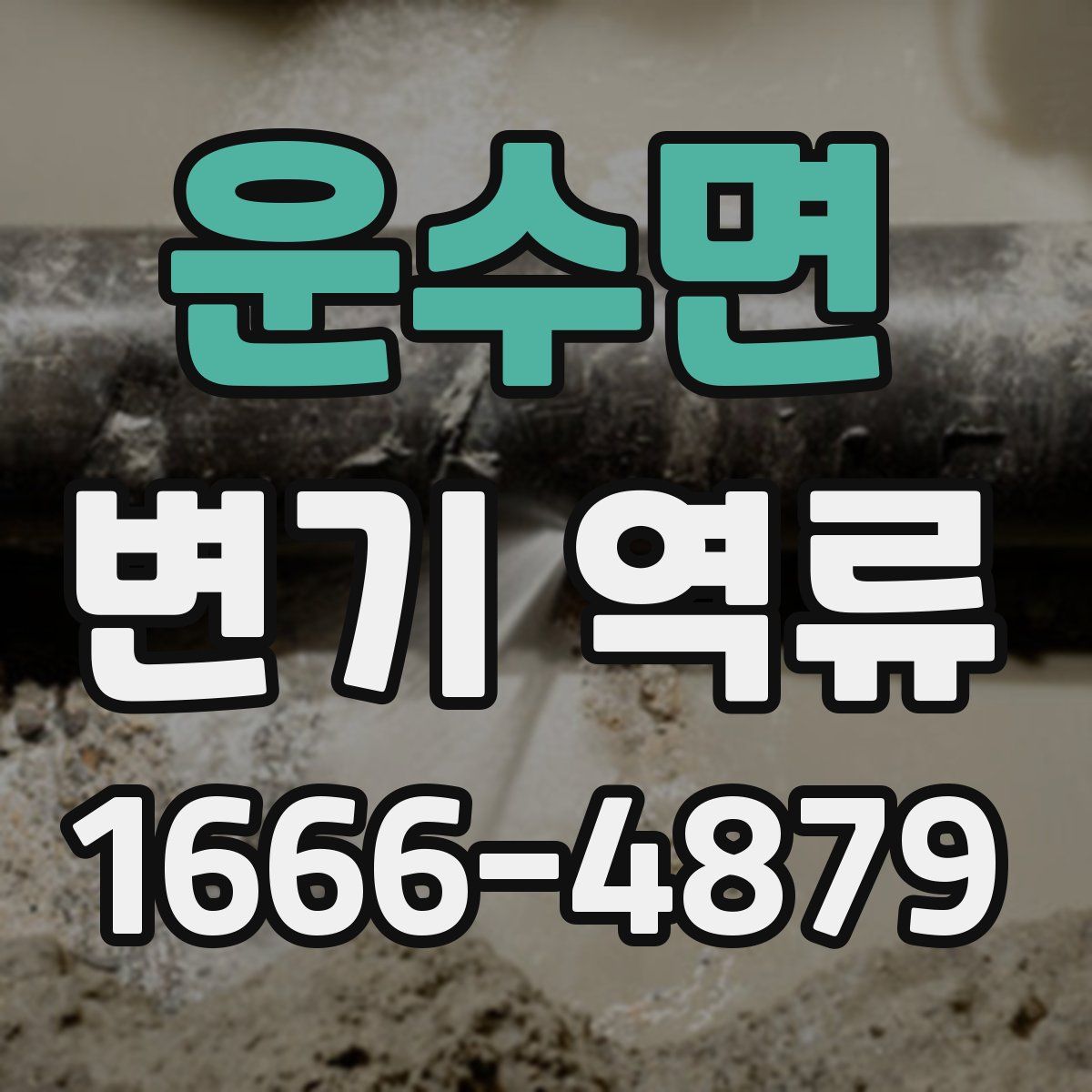 운수면 변기 역류