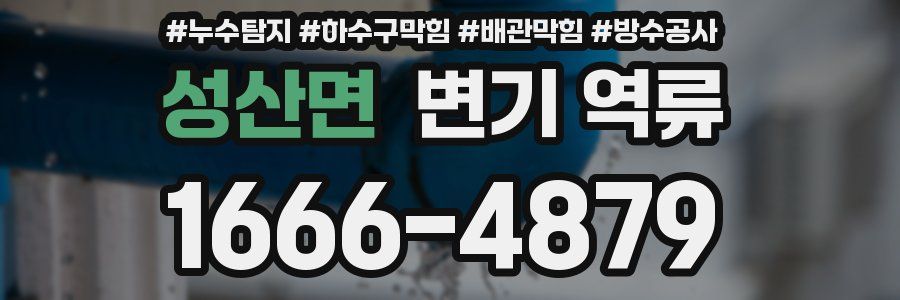 성산면 변기 역류