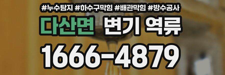 다산면 변기 역류