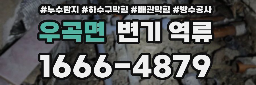 우곡면 변기 역류