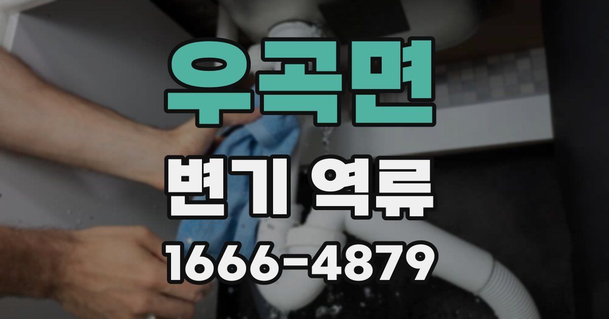 우곡면 변기 역류