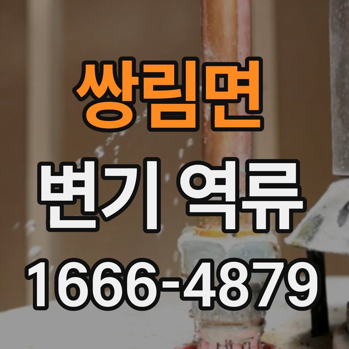 쌍림면 변기 역류