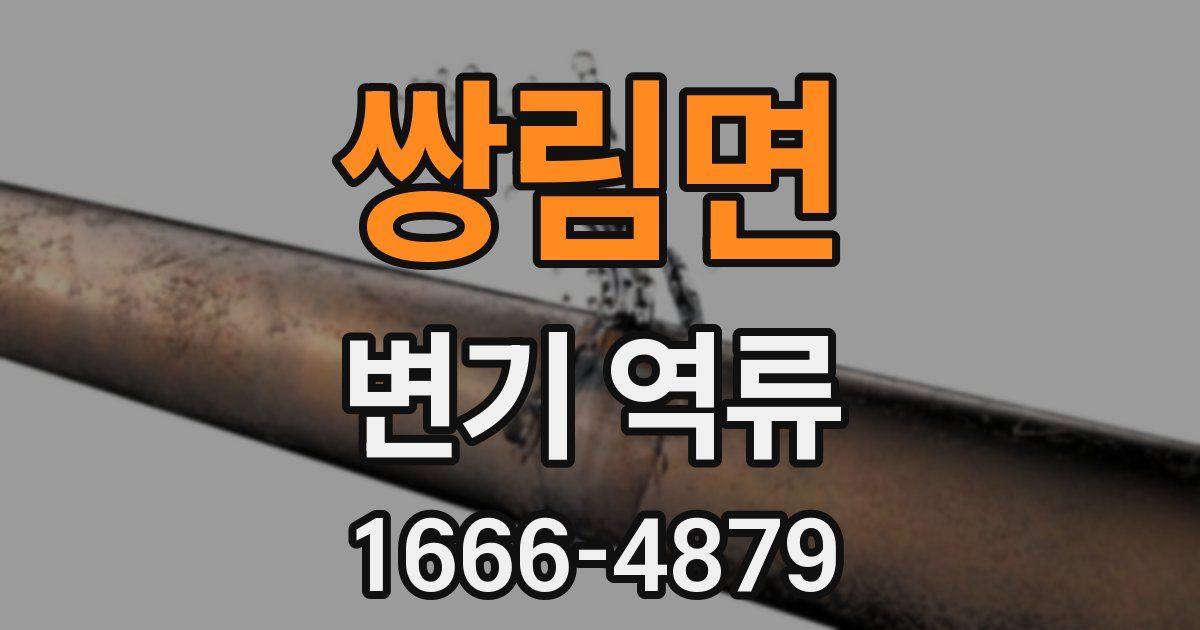 쌍림면 변기 역류