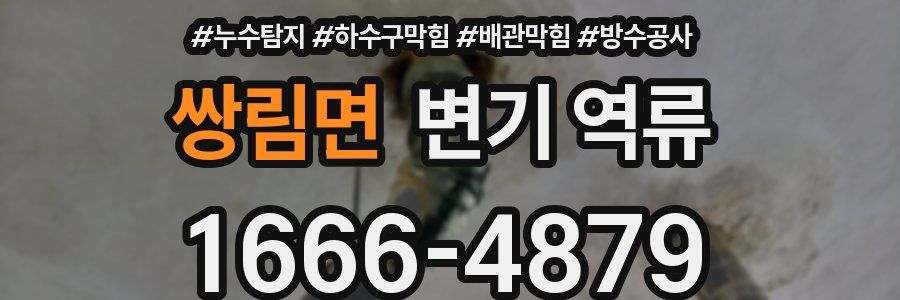 쌍림면 변기 역류