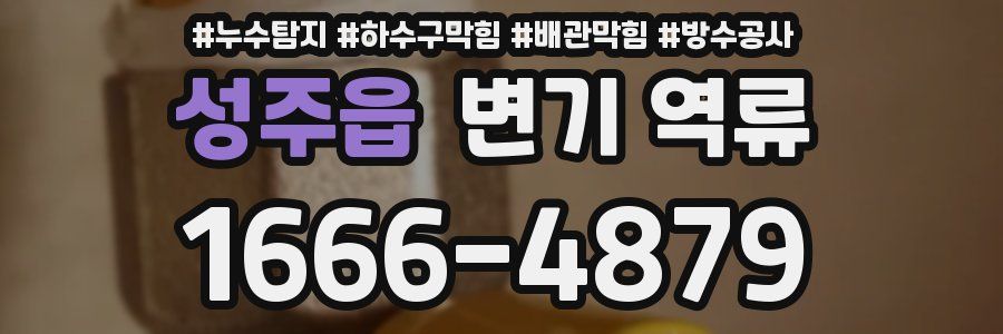 성주읍 변기 역류