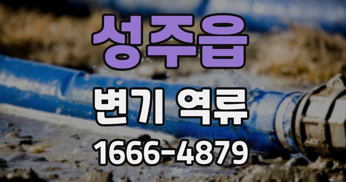 성주읍 변기 역류