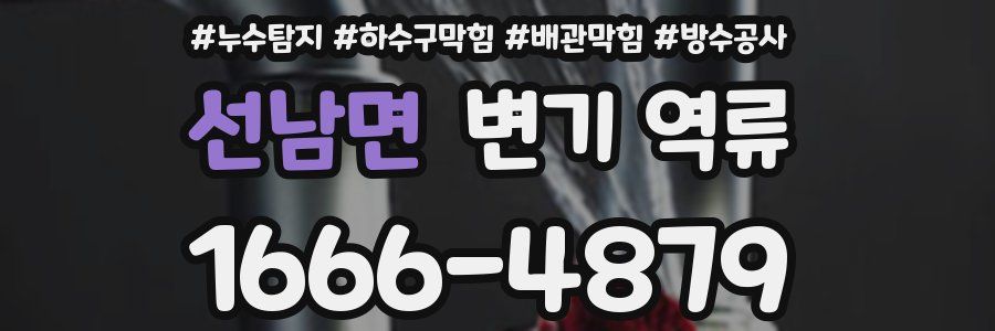 선남면 변기 역류