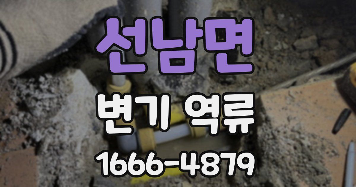 선남면 변기 역류