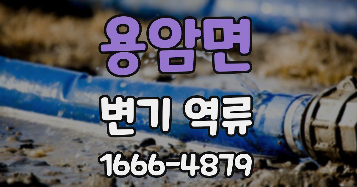 용암면 변기 역류