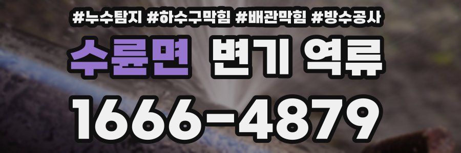 수륜면 변기 역류