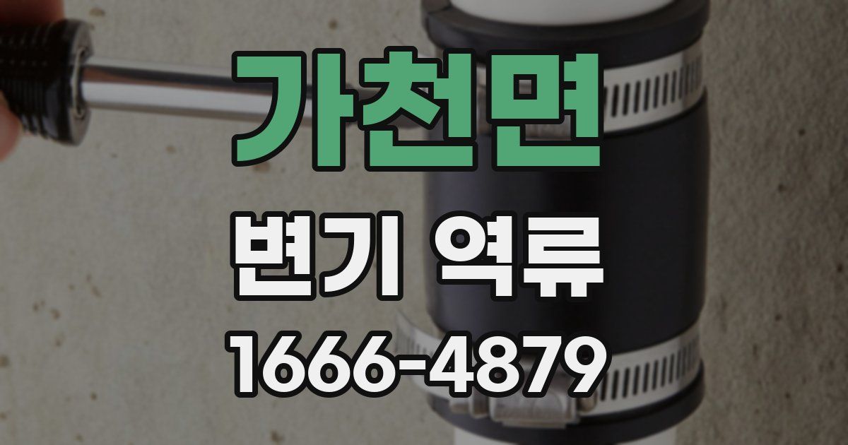 가천면 변기 역류