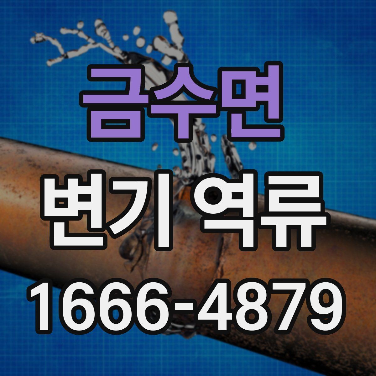 금수면 변기 역류 오염수 유입을 의심해야 하는 상황