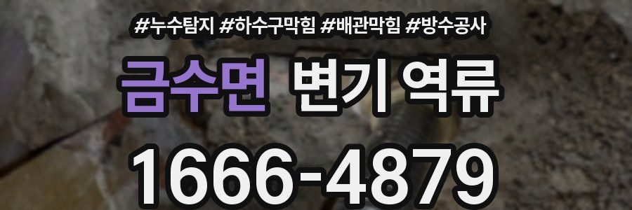 금수면 변기 역류