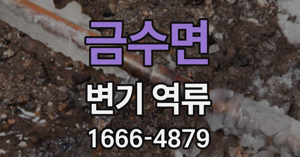 금수면 변기 역류