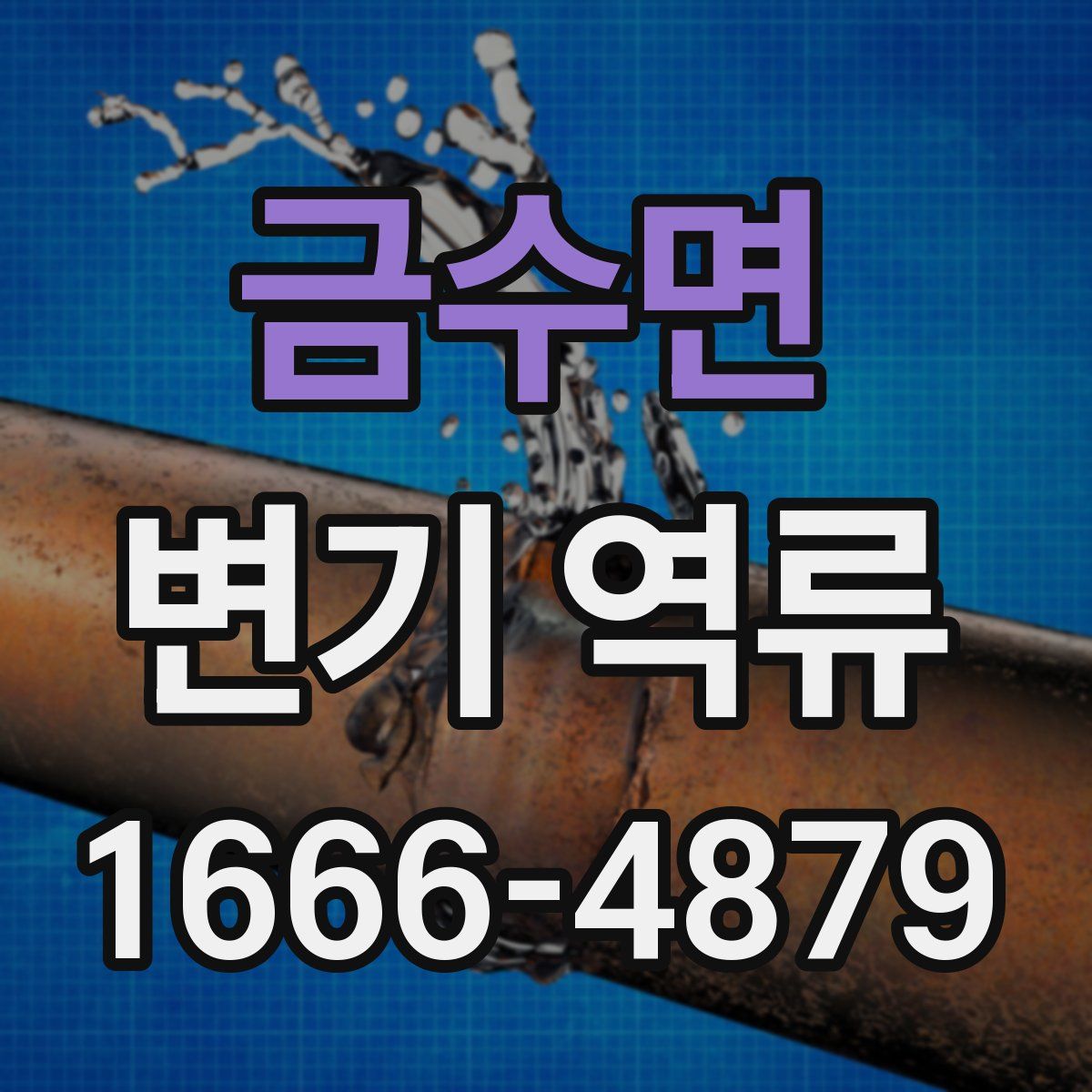 금수면 변기 역류