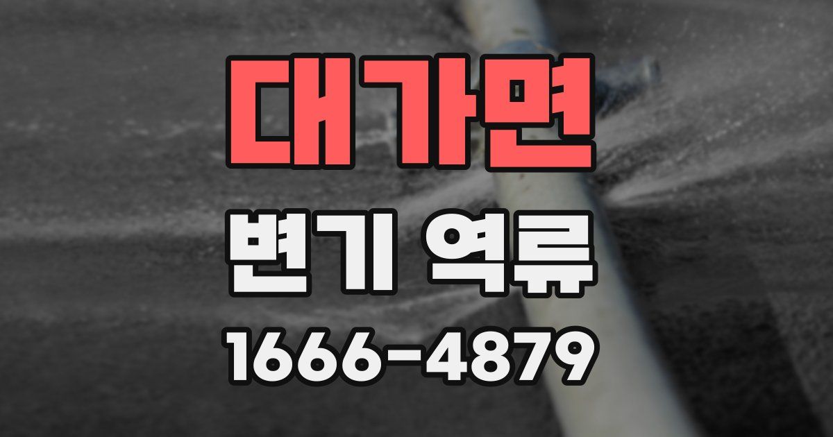 대가면 변기 역류