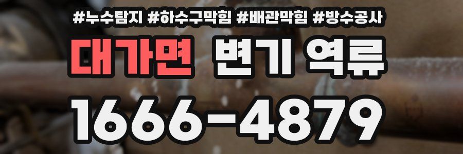대가면 변기 역류