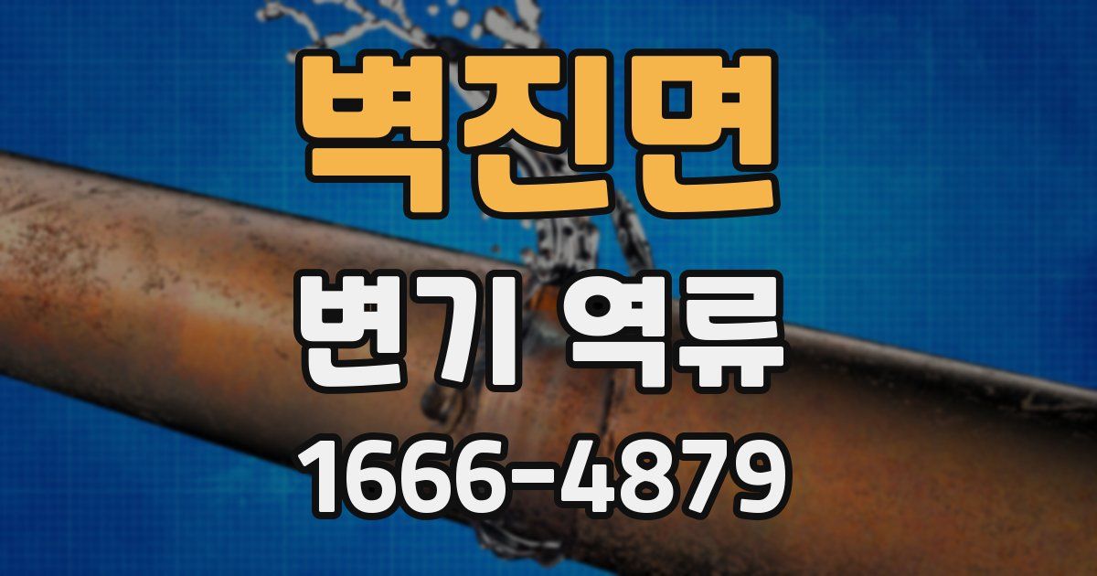 벽진면 변기 역류
