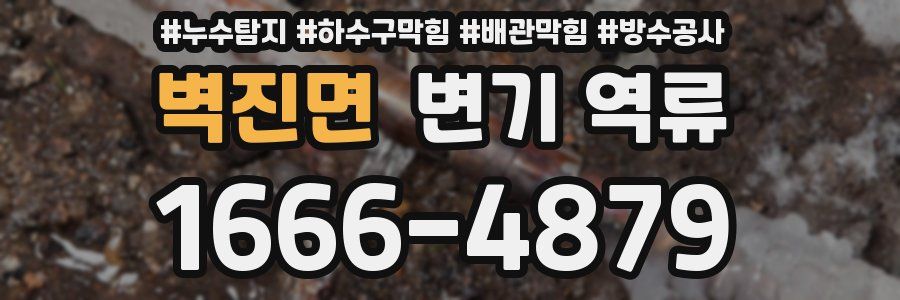 벽진면 변기 역류
