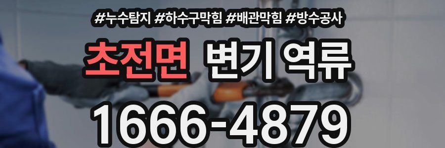 초전면 변기 역류