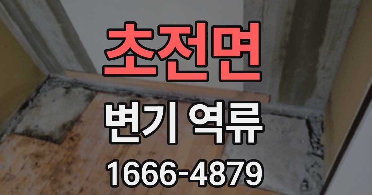 초전면 변기 역류