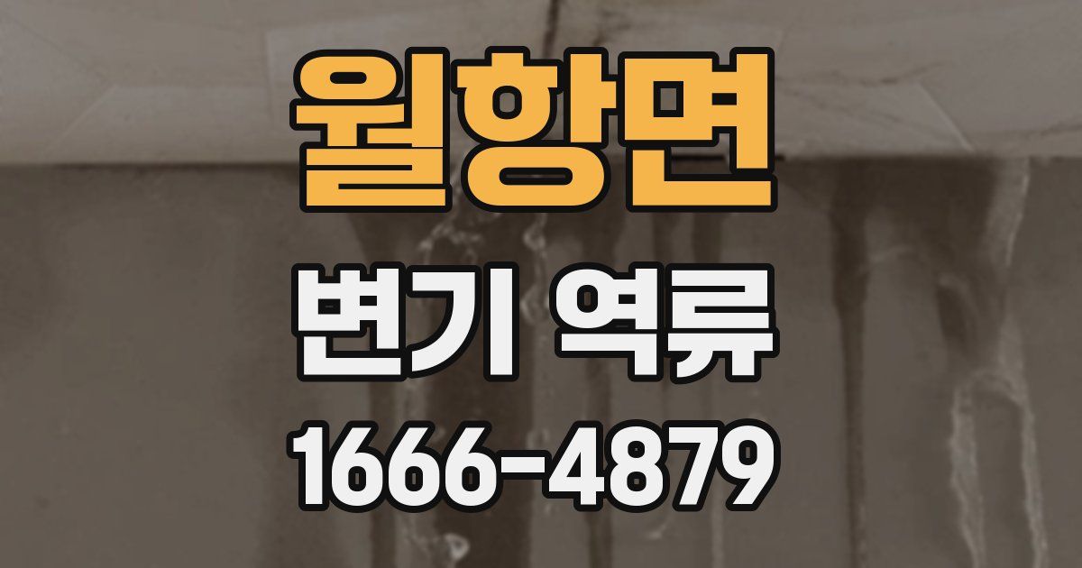 월항면 변기 역류