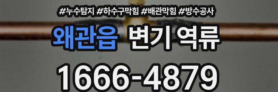 왜관읍 변기 역류