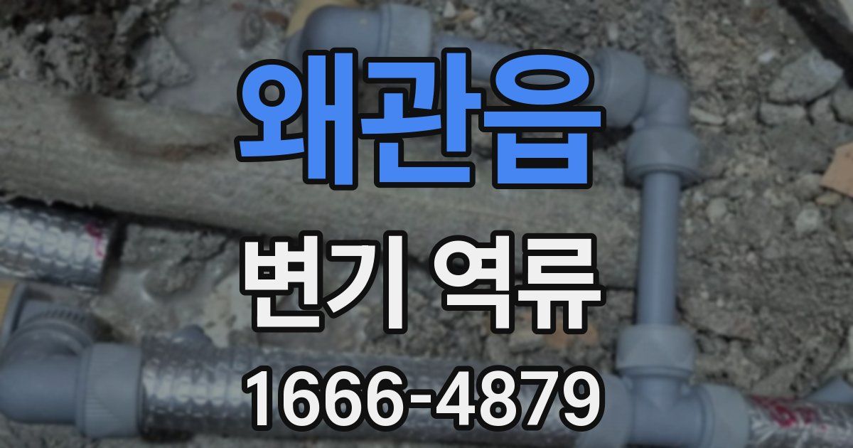 왜관읍 변기 역류