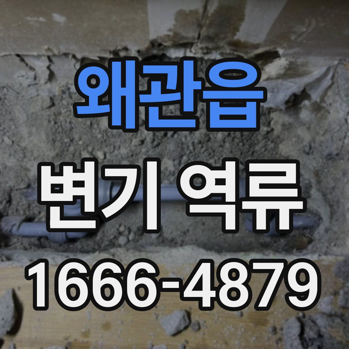왜관읍 변기 역류