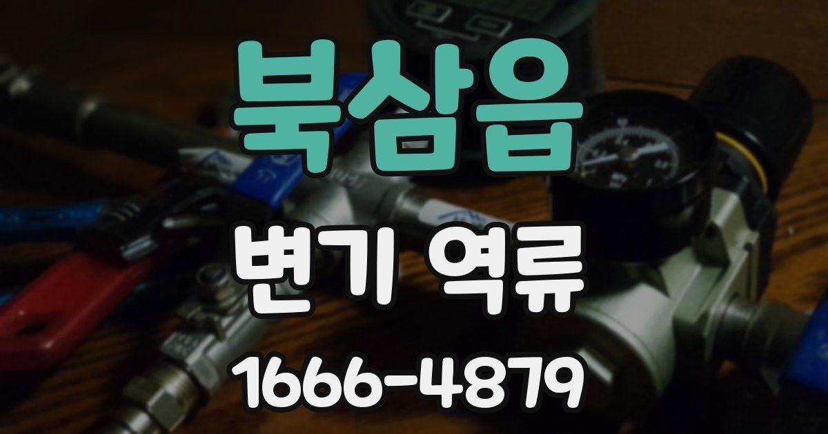 북삼읍 변기 역류