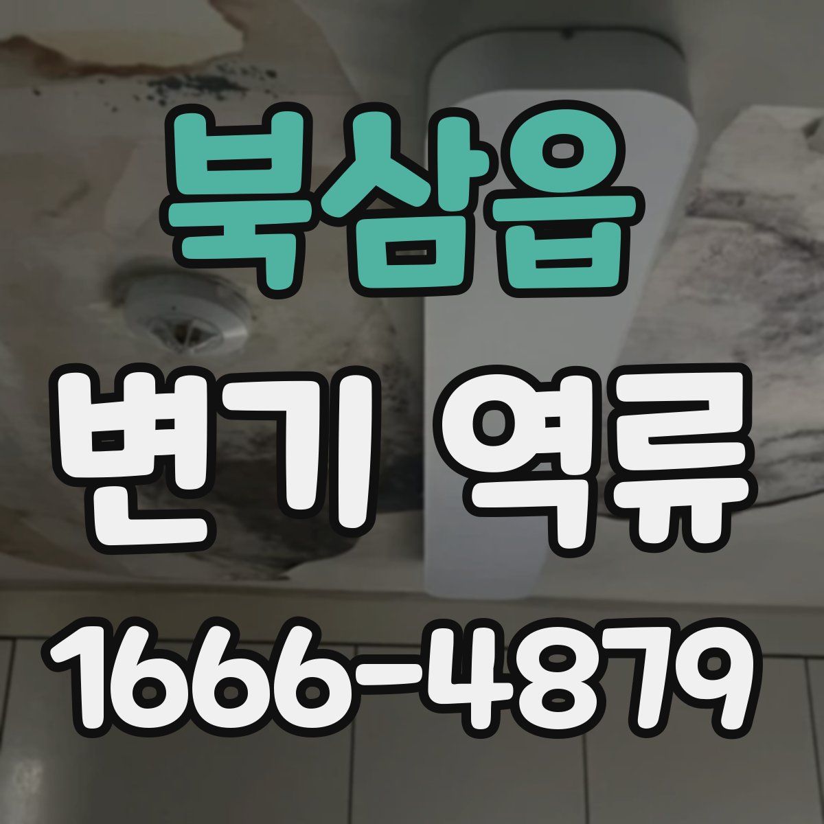 북삼읍 변기 역류