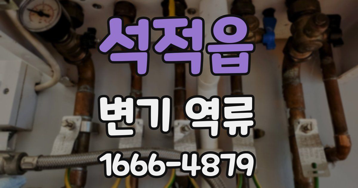 석적읍 변기 역류