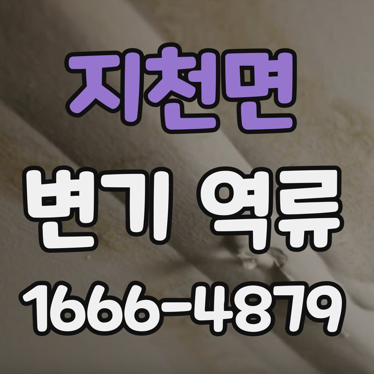 지천면 변기 역류