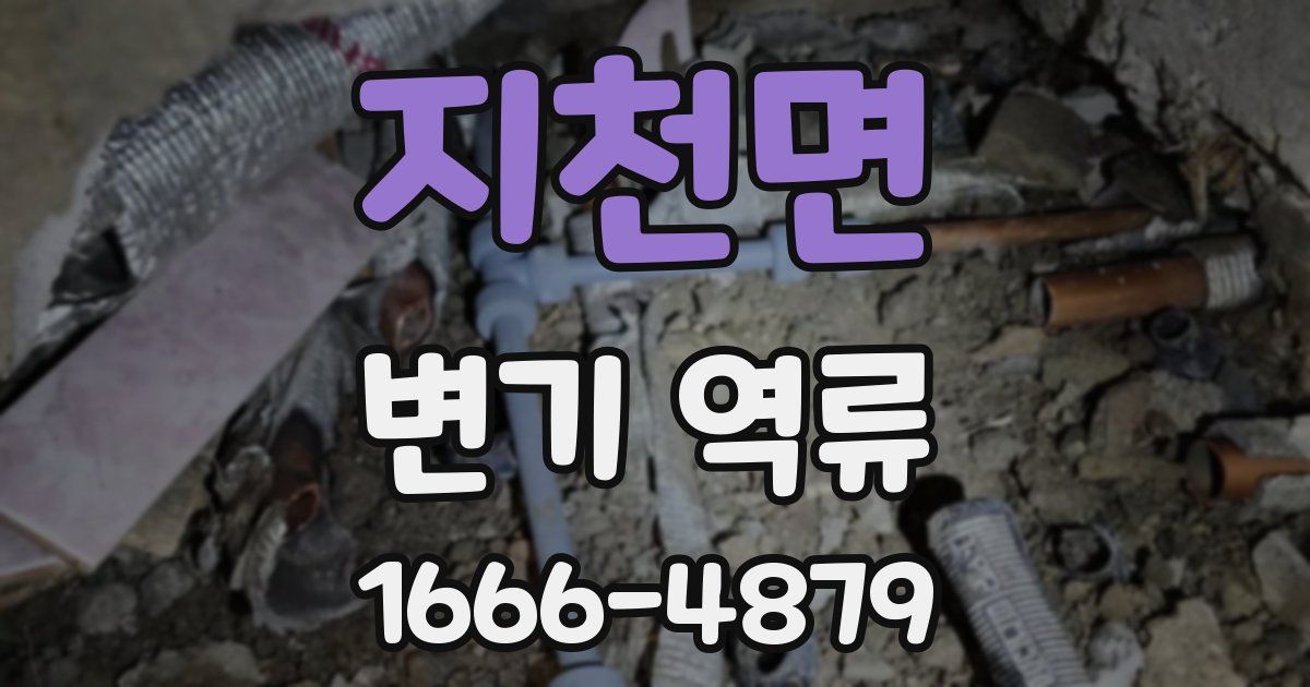 지천면 변기 역류