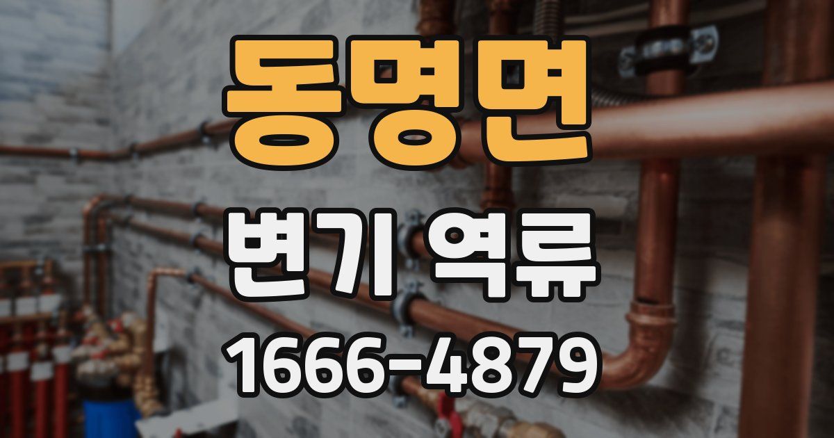 동명면 변기 역류